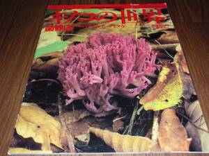 ●1997.1　週間朝日百科「植物の世界」別冊 キノコの世界 菌界3　ハマイグチ　マイタケ E