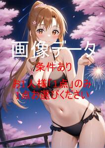 YAWR019 結城明日奈(アスナ) SAO 画像データ お一人様一点のみ(1円シリーズ全体で一点のみ) 