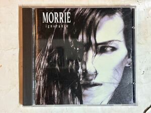 CD 見本盤 国内盤 Morrie Ignorance BVCR-21 モリー