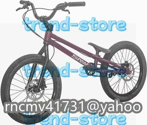 24インチ スタント用自転車 BMX 自転車 大人用 フロントおよびリアブレーキ付き Crmoフレームとフォーク パープル