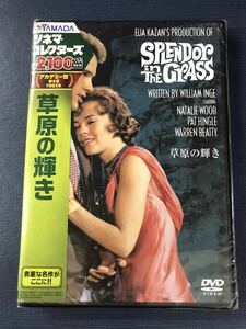 【新品未開封品】DVD　草原の輝き　出演：ナタリー・ウッド　ウォーレン・ベイティー　パット・ヒングル