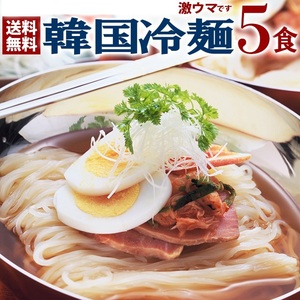 ☆全国100店舗以上のプロが選ぶ業務用の本格派！☆　韓国冷麺5食セット 麺120g・濃縮スープ30g×各5袋 