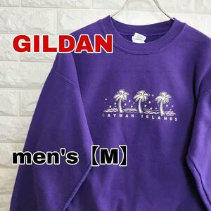 B420【GILDAN】スウェット 裏起毛【メンズM】パープル