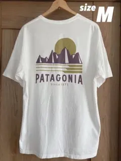 patagonia パタゴニア　半袖　Tシャツ　バックプリントロゴ入り