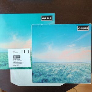 UK original 完品 12inch oasis whatever オアシス analog record レコード LP アナログ vinyl cre195t