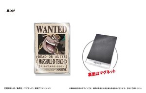 【新品/公式】ONE PIECE アクリル手配書マグネット Vol.2 黒ひげ 公式グッズ colleize