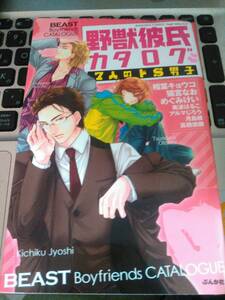 野獣彼氏カタログ　7人のドS男子　ぶんか社