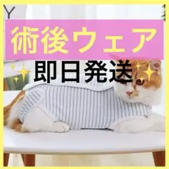 処分価格‼️5-39 猫服 術後服 猫用 ペット術後ウェア 皮膚保護 Lサイズ