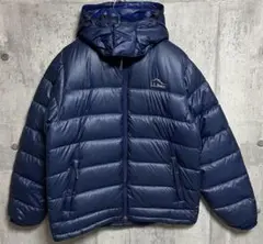 llbean 700fill ダウンフーディージャケット patagonia