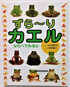 中古絵本　　高岡昌江（文）松橋利光（写真）『 ずら～りカエル ならべてみると… 』 アリス館　2012年16ｓｄｂ刷