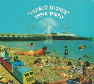 レゲエ┃リトル・テンポ│LittleTempo┃KEDACO SOUNDS│┃エイベックスCTCR-11081│2001.02.28年│2548円┃管理7791