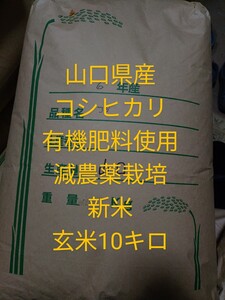 1袋のみ【新米】山口県産コシヒカリ10キロ