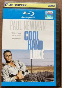 ブルーレイ『 暴力脱獄』（1967年） ポール・ニューマン 川合伸旺 富田耕生 COOL HAND LUKE メイキング収録 レンタル使用済