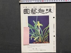 ｃ※※　園藝趣味　園芸趣味　東洋蘭・おもと・観棕竹・古典園芸植物情報雑誌　昭和57年　通巻第411号　日月園出版部　当時物　/　K50