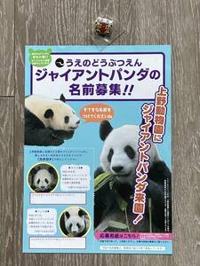 上野動物園 パンダ リーリー&シンシン 来園記念 バッジ 郵便局 日本名募集 ちらし ビラ　