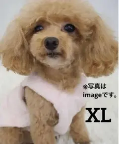 XL ピンクペット用品　服　ふわふわ　モコモコ犬　おしゃれ　可愛い