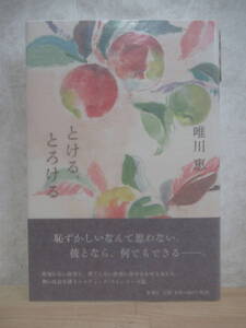 U67☆ 【美品】 著者直筆 サイン本 とける、とろける 唯川恵 新潮社 2008年 初版 帯付き 落款 謹呈 肩ごしの恋人 直木賞受賞 221202