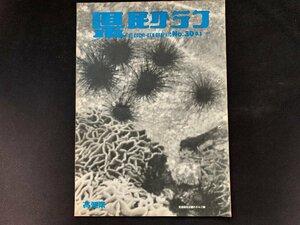 ▼高知県 県民グラフ 第30号 昭和38年9月1日発行