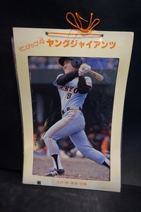 昭和 読売ジャイアンツ ヤングジャイアンツ ピンナップ4 倉庫品 プロ野球 江川 レトロ