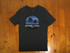 ☆難有☆マイケイルコース☆MICHALE KORS☆プリント　コットン半袖Tシャツ S/CH/P 濃紺 