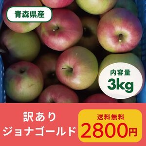 りんご 数量限定 青森県産 サンジョナゴールド 訳あり3kg 送料無料 林檎 加工用 【6150】