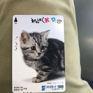 メトロカード営団地下鉄わんぱくkids猫