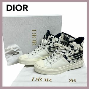 箱保存袋付き Christian Dior クリスチャン ディオール WALK