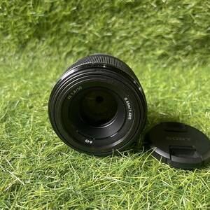 SONY ソニー FE 50mm F1.8 SEL50F18F 単焦点 SONYMCプロテクター レンズ 一眼カメラ用 レンズ フィルター付き