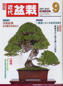 【月刊 近代盆栽】2022.09 ★ 真柏の魅力を味わう ★ 良いところを引き出す ★ 明治神宮奉納盆栽展