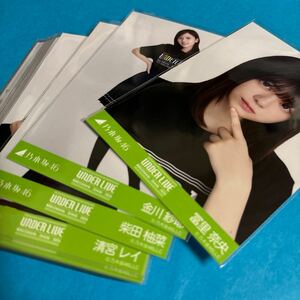 乃木坂46 生写真 35th SGアンダーライブTシャツ 24枚まとめ売り 冨里奈央 金川紗耶 柴田柚菜 清宮レイ 佐藤璃果 などありその他も多数あり