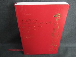 大人のパリ　イネスのおしゃれガイド　カバー無多少日焼け有/IDY