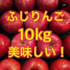 送料無料‼︎ ふじりんご ご家庭向け10kg