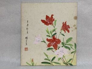 【色紙画/色紙書】 肉筆　菊生：作　『ツツジ』　詩/短歌/俳句/情景画　パケット発送　L0722A　