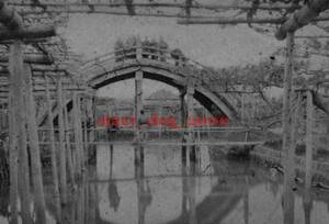 複製復刻 絵葉書/古写真 東京 亀戸天神 太鼓橋と池 明治期