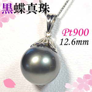 【早い者勝ち卸特価】【新品即決】Pt900 南洋黒蝶真珠 12.6ｍｍ ペンダント ネックレス トップ パール タヒチ プラチナ NCM142