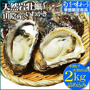 【即決】6月中下旬～順次出荷】天然 岩牡蠣 (カキ) 鳥取県産 [生]【2ｋｇ詰め込み(6-16個程度入り)】イワガキかきお中元岩ガキ同梱不可