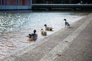 3034　風景写真 L/2Lサイズ 当方オリジナル撮影フリー写真