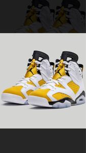 ナイキ NIKE エアジョーダン6 レトロ スニーカー メンズ AIR JORDAN 6 RETRO ホワイト 白 CT8529-170 27.0cm 送料込