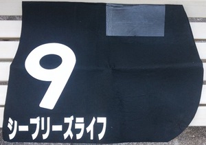 JRA 阪神ジュベナイルフィリーズ ウマ娘 G1馬 サークルオブライフ 母 シーブリーズライフ 競馬 レース 実使用 ゼッケン アドマイヤジャパン