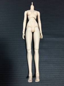 美品 DD ドルフィードリーム ベースボディ VOLKS