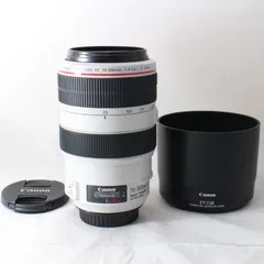 ☆美品☆ Canon EF70-300mm F4-5.6L IS USM EF70-300LIS フルサイズ対応 望遠ズームレンズ キヤノン EFマウント #2815