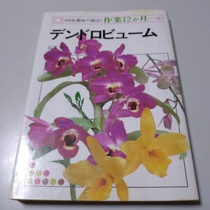 【日本放送出版協会】「NHK趣味の園芸作業12ヶ月20 デンドロビューム」江尻光一