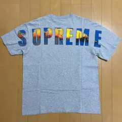 Supreme Crash Tee ヘザーグレー 17aw