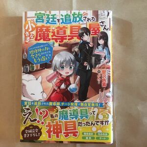 宮廷を追放された小さな魔導具屋さん　のんびりお店を開くので、規格外の力と今さら言われてももう遅い 鬱沢色素