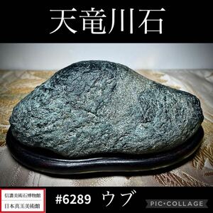 《お宝発掘祭り》水石 天竜川石 ウブ 横16.5×高7.5×奥行10(cm) 重量:1.48kg盆栽骨董盆石古美術鑑賞石観賞石太湖石中国古玩 6289