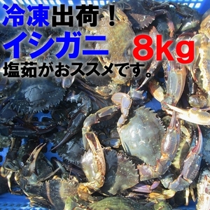 「冷凍食用イシガニ 石蟹４kg×２箱」で８kg 店長漁獲の漁師直送品 松島牡蠣屋 離島沖縄対象外 海産物