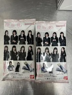 櫻坂46 ツインウエハース 2個未開封