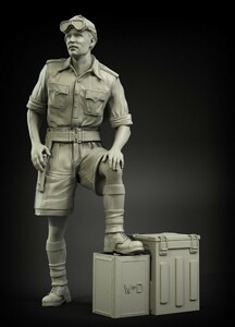 パンツァーアート FI35-024 1/35 WWII イギリス RAC士官 北アフリカ No1