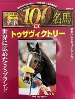 Gallop 週刊100名馬 EX トゥザヴィクトリー