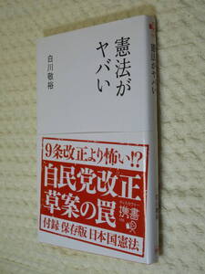 ★即決☆『憲法がヤバい』白川敬裕☆送料何冊でも200円☆